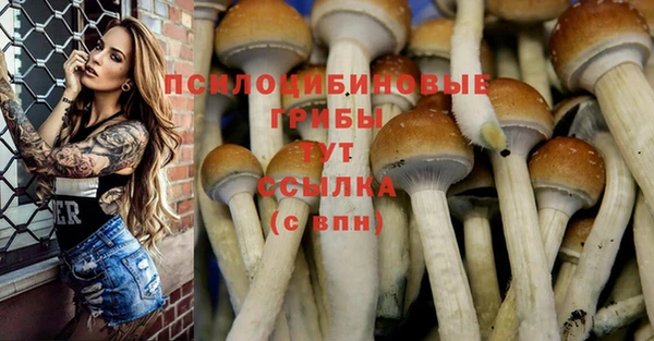 ALPHA-PVP Алексин