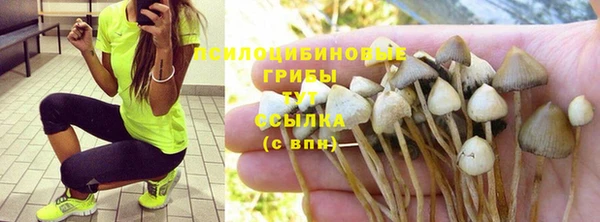 кокс Алзамай