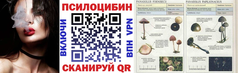 как найти   KRAKEN ссылка  Галлюциногенные грибы мухоморы  Шатура 