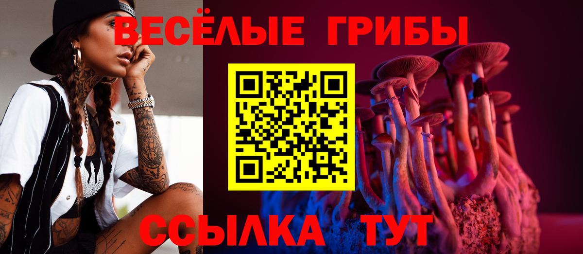 Галлюциногенные грибы прущие грибы  Псилоцибиновые грибы MAGIC MUSHROOMS  Шатура  Вход с VPN 