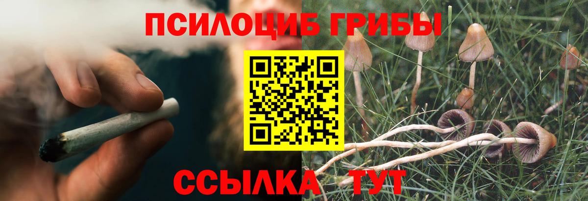 Псилоцибиновые грибы мухоморы Шатура